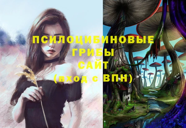 MESCALINE Белокуриха