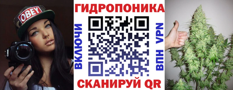 Конопля индика Котово